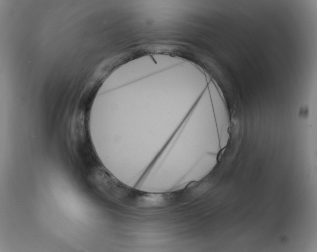 X0000111480381200908251007