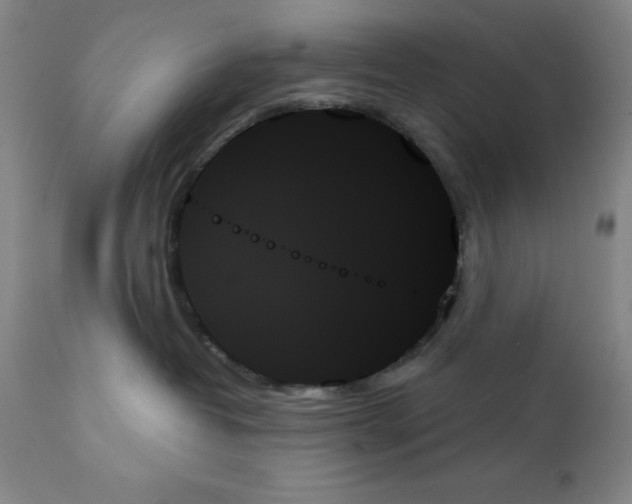 X0000111480382200908251007