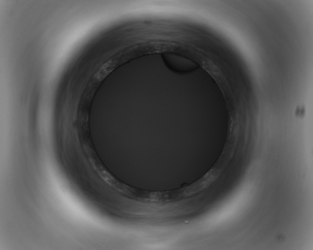 X0000111480383200908251007