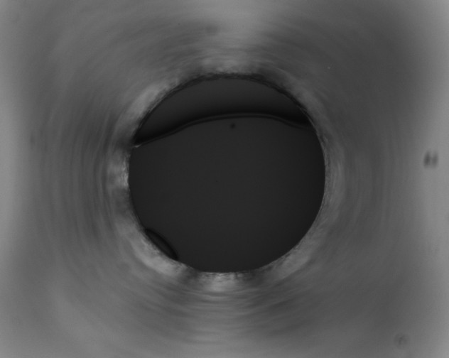 X0000111480384200908251007