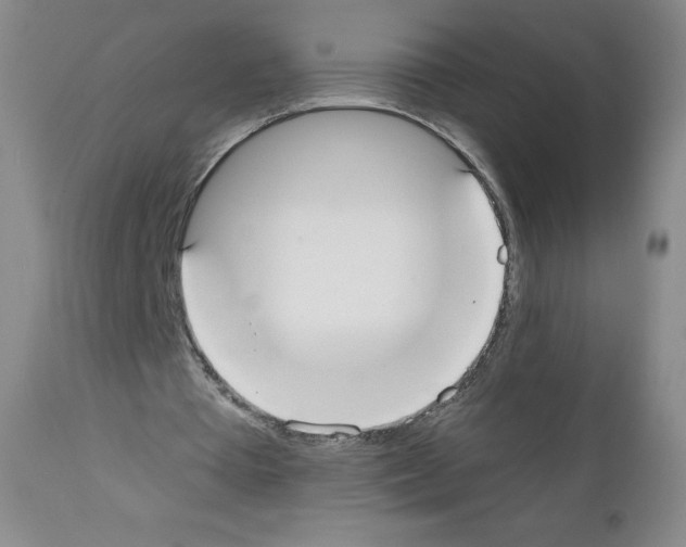 X0000111480385200908251006