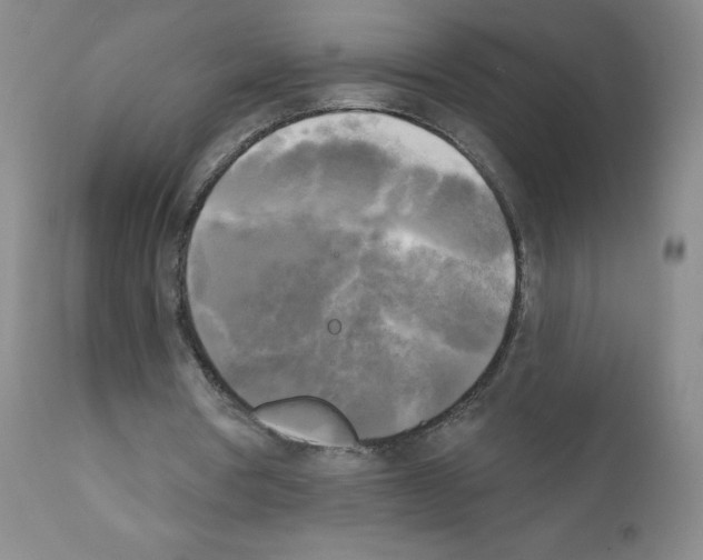 X0000111480386200908251006