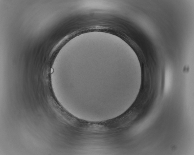 X0000111480387200908251006