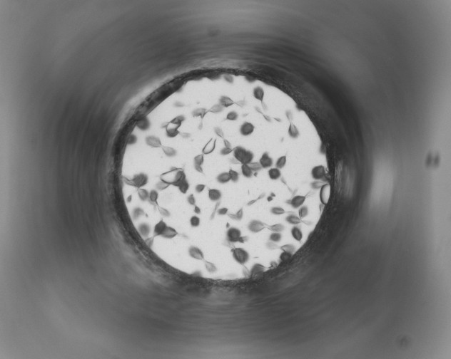 X0000111480388200908251006