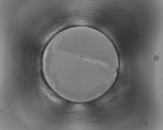 X0000111480390200908251006