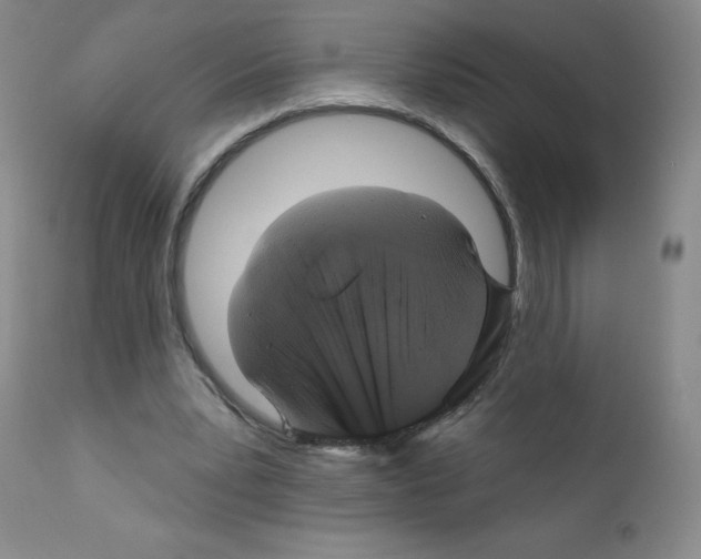 X0000111480391200908251006