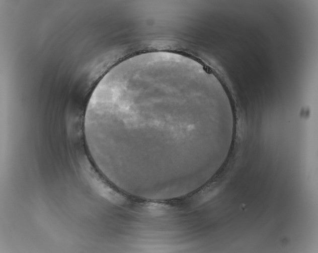 X0000111480393200908251006