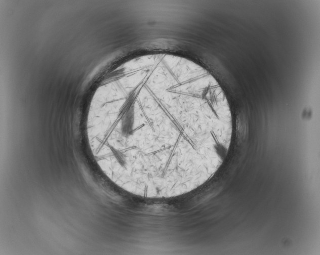 X0000111480396200908251006