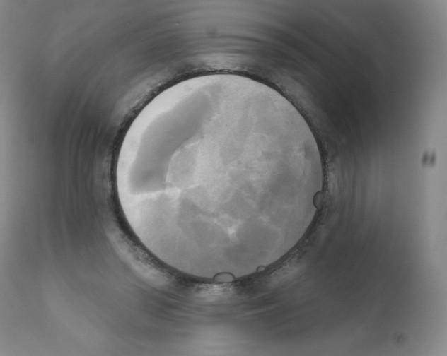 X0000111480398200908251006
