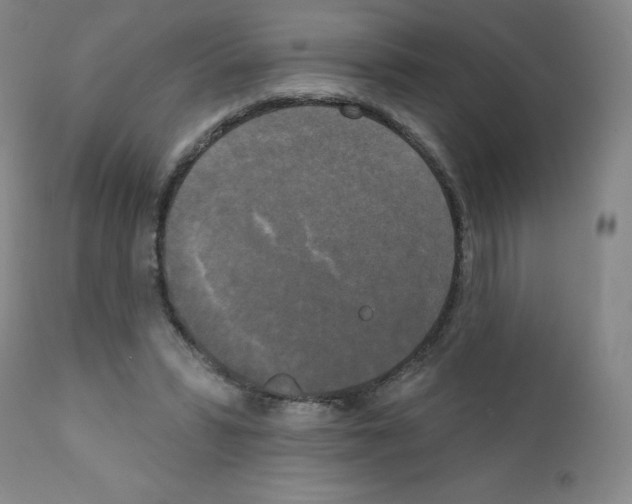 X0000111480399200908251006