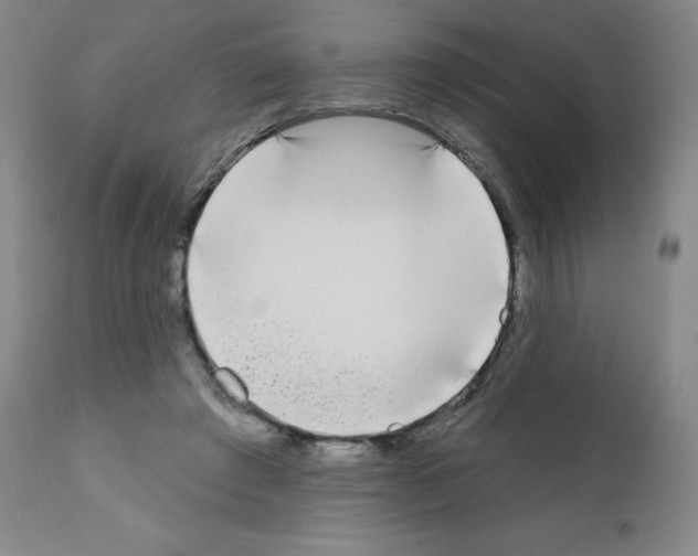X0000111480401200908251006