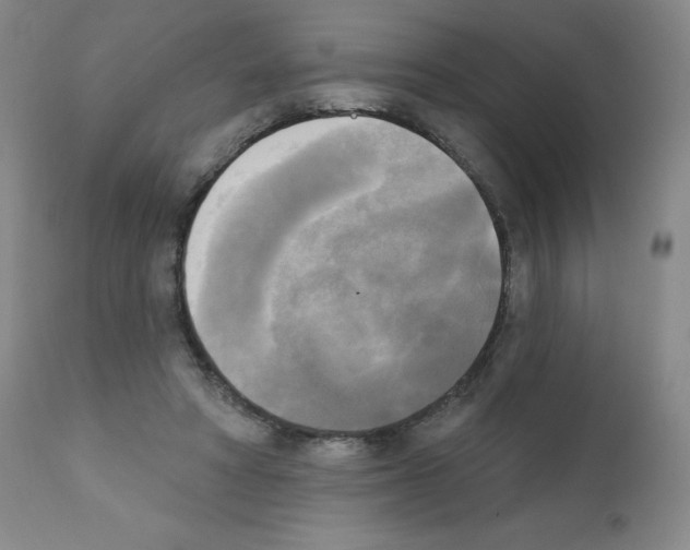X0000111480402200908251006