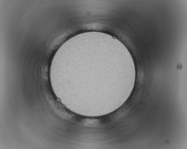 X0000111480403200908251006