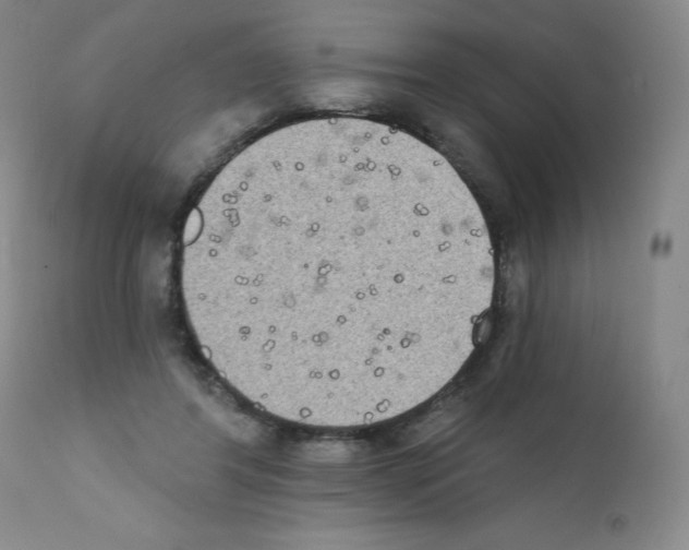 X0000111480404200908251006