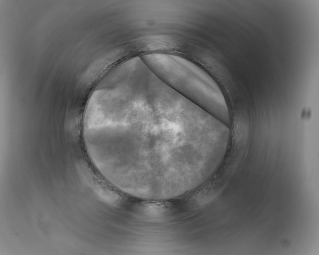 X0000111480405200908251006