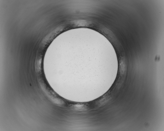 X0000111480406200908251006