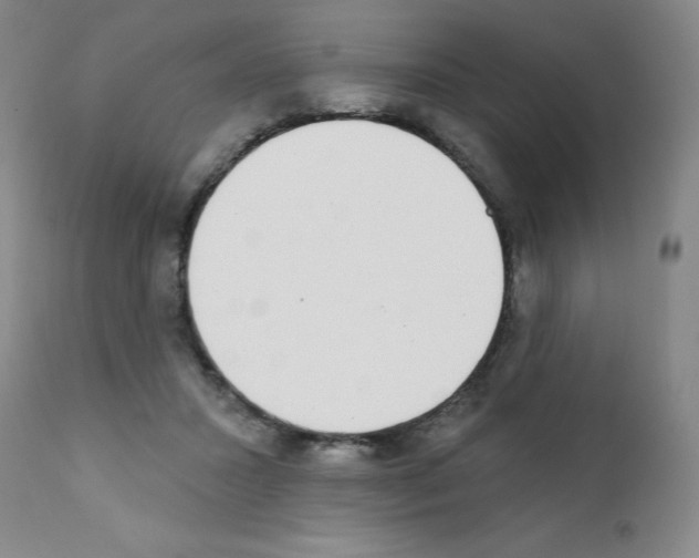 X0000111480407200908251006