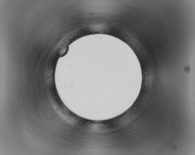 X0000111480408200908251006