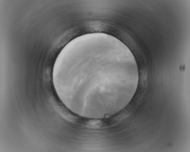 X0000111480410200908251006