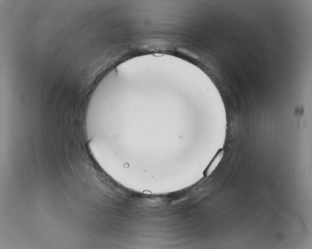 X0000111480411200908251006