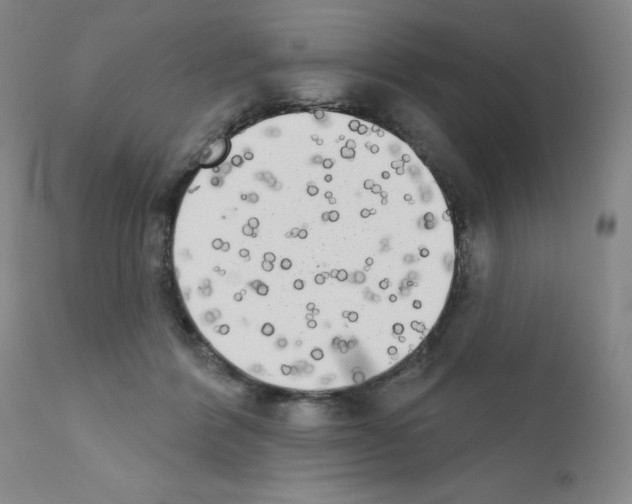 X0000111480412200908251006