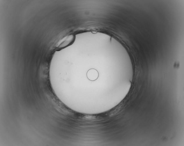 X0000111480413200908251006