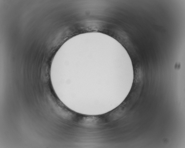 X0000111480414200908251006