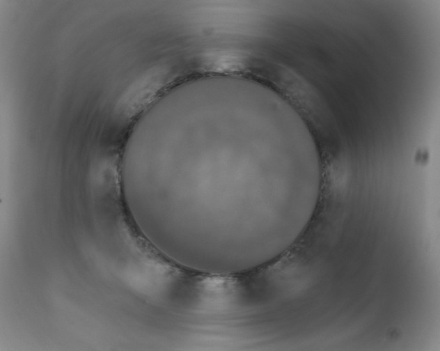 X0000111480415200908251006