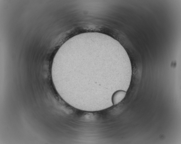 X0000111480416200908251006