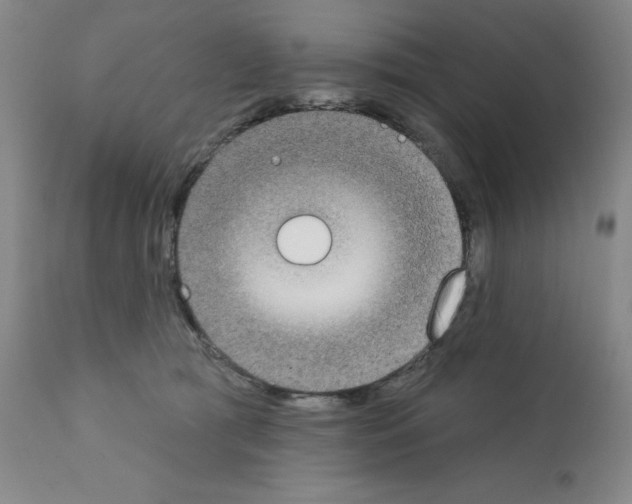 X0000111480417200908251006