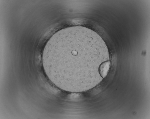 X0000111480418200908251006