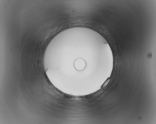 X0000111480419200908251006