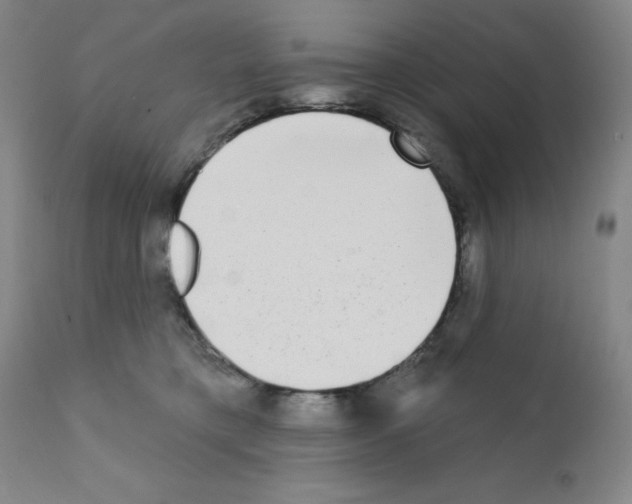 X0000111480421200908251006