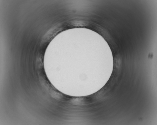 X0000111480422200908251006