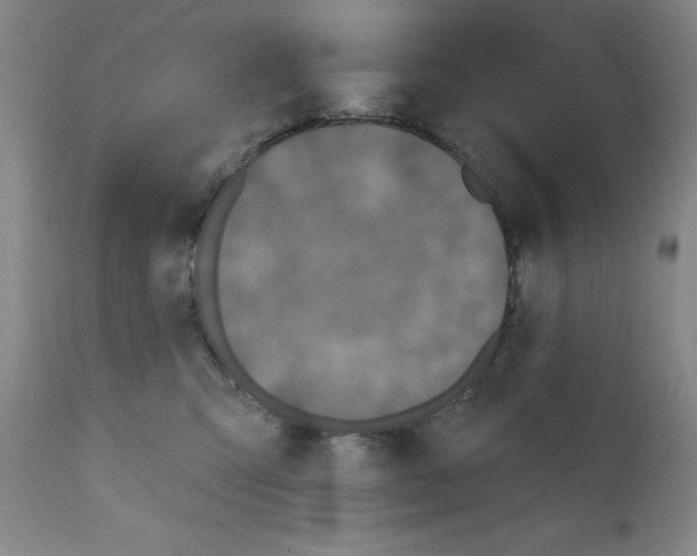 X0000111480423200908251006