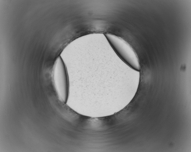 X0000111480425200908251006
