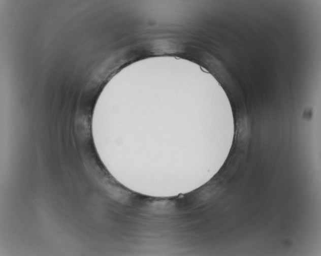 X0000111480426200908251006