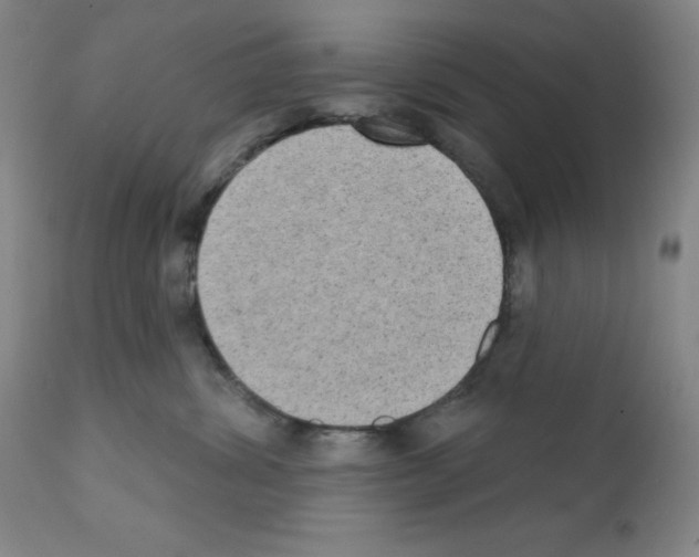 X0000111480428200908251006