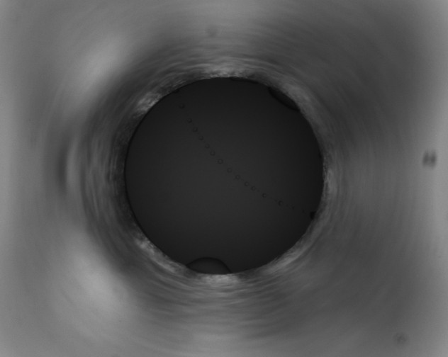 X0000111480429200908251006
