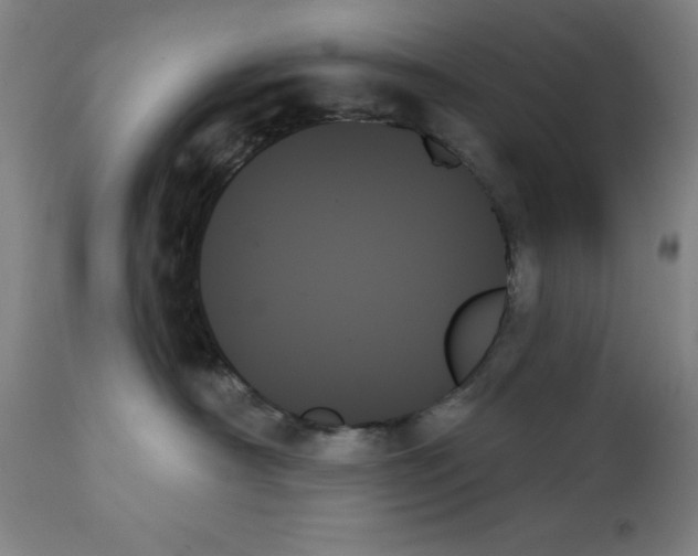 X0000111480430200908251006