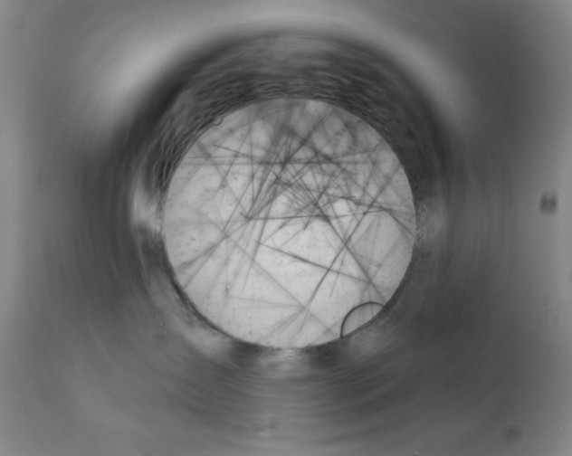 X0000111480431200908251006
