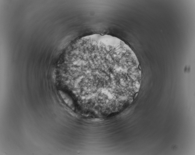 X0000111480432200908251006