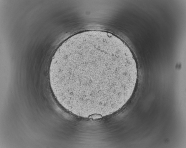 X0000111480433200908251005