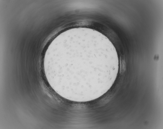 X0000111480435200908251005