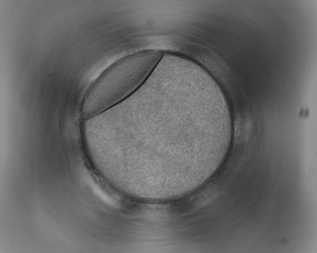 X0000111480436200908251005