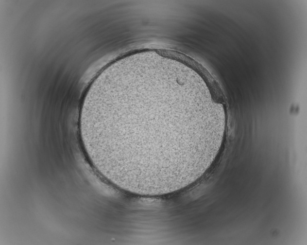 X0000111480437200908251005