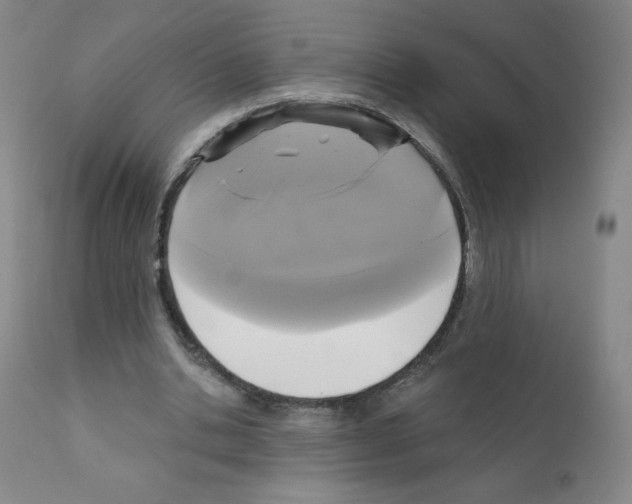 X0000111480438200908251005