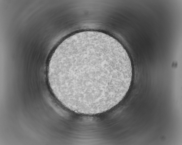 X0000111480439200908251005