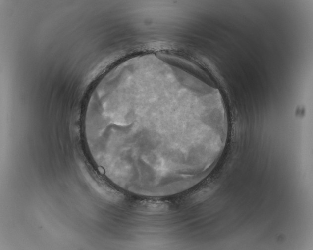 X0000111480443200908251005