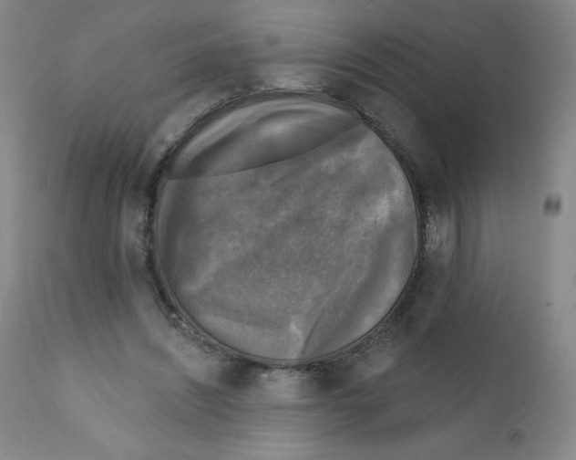X0000111480444200908251005